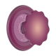 Red Wine